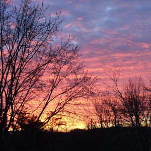 Meet your Posher, Jody